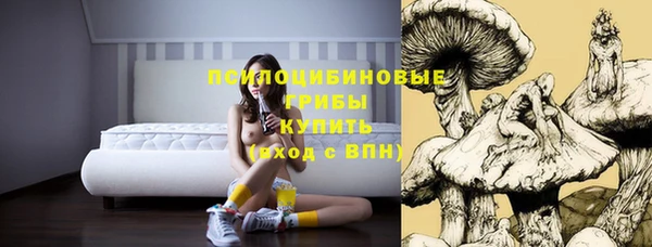 прущая мука Абинск