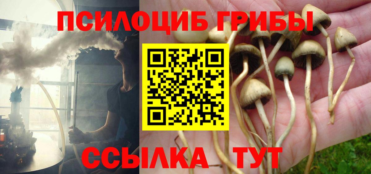 Топки  цены наркотик  Вход с VPN  Псилоцибиновые грибы MAGIC MUSHROOMS 